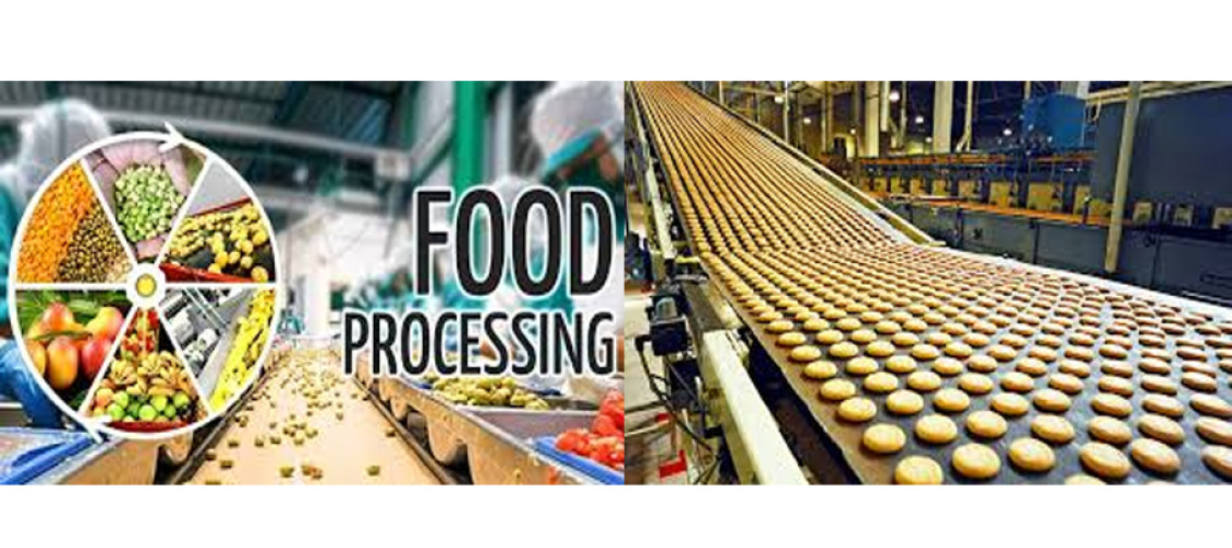 What and  why is food processing important?